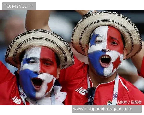 球星捐款助力世界杯足球场建设激发全球球迷热情与社会责任感